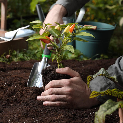 3-Piece Garden Tool Set - Gardening Set - Garden Kit - Tools for the Garden - Hand Tools - Garden Shears - Ideal Garden Gift for Women and Men - For Garden Lovers - Green.