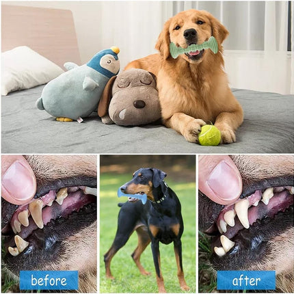Dog Toys - 3 Pieces - Dog Chew Toys - Dental Care - Teeth Cleaning - Rubber Pet Chew Toys - For Medium and Large Dogs - Blue+Green+Pink.