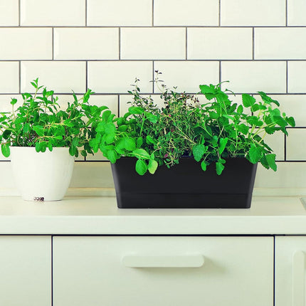 Flower pots - Balcony plant pot/flower pot - Railing/fence - Garden - rectangle - flower boxes - 3 pieces rectangular plant pots of 30 cm - rectangular plastic planters - balcony planters for planting succulents.