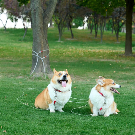 Dog leash - 10 m - cat leash - Active and Large Dogs - Bite-resistant - Retractable leash - Steel cable - Pet leash - Very Hard - bold - Sturdy - Thick - Practical - Unbreakable - Lots of playtime fun - Prevents getting lost - Free play on the lawn.