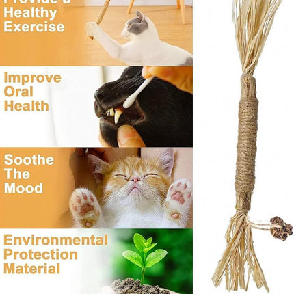 Sticks for Cats - 6 Pieces - Catnip Chew Sticks - Natural Cat Toys - Cat Chew Sticks - Catnip Sticks - Stronger Effect Than Catnip - Catnip - Catnip - Cat Toys - Freshen Your Mouth - Dental Care for Cats.