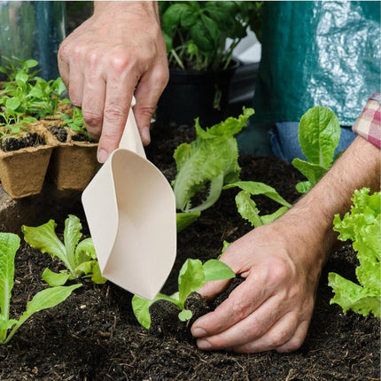Home & Garden Cartoz.