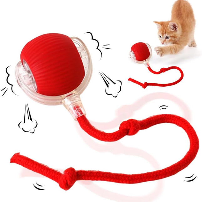 Pet Care.