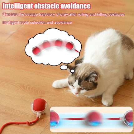 Electric Cat Ball Toy - Cat Toys - Electric Toy Ball - Pet Toys - Smart Toy Ball - Automatic Rolling Cat Ball - Interactive Cat Toy - Rechargeable - Cat Ball for Play and Interaction - Red.