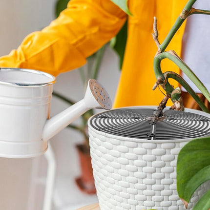 2 pieces - plant pot cover - 30 cm - Flowerpot grid - planter cover set - plantpot grid bottom protectors - with 16 posts - plant covers - for indoor and outdoor gardening - plant protectors - keeps cats and squirrels out of the flowerpot - black.