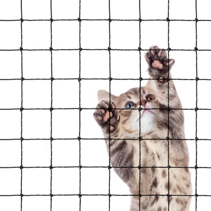 Pet Care.