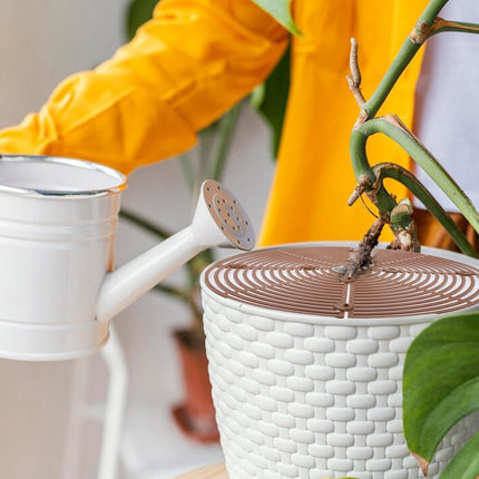 2 pieces - plant pot cover - 30 cm - Flowerpot grid - planter cover set - plantpot grid bottom protectors - with 16 posts - plant covers - for indoor and outdoor gardening - plant protectors - keeps cats and squirrels out of the flowerpot - brown.