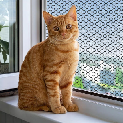 Plastic Fencing Net - 40 cm * 3 m - Chicken Wire - Cat Net - Dog Fencing - Bird Net - Pet Trap Net - Garden Mesh - Plastic Mesh - Plant Net - with 20 fixed straps - for dogs, cats, chickens and other small animals - Black.