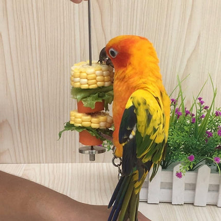 Pet Care Cartoz.