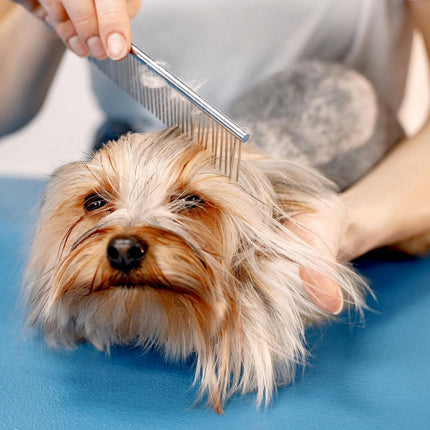 Dog Comb Long Hair Brush Steel Comb for Pet Care Tangle Removal Knots - Set of 2.