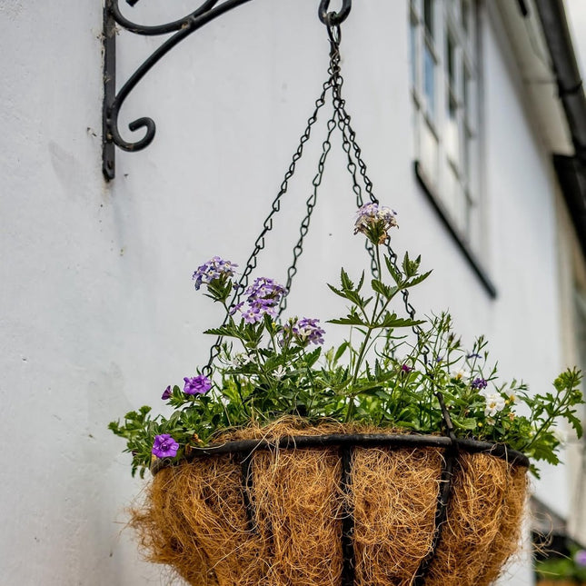pieces - 16 inch - Plant hanger - Flowerpot hook - Lantern hook - Garden hook - Plant hook - hanging basket chains - with 3 chains - black chain with hooks - for hanging plants and flowerpots - 40 cm - black.