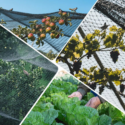 Home & Garden Cartoz.