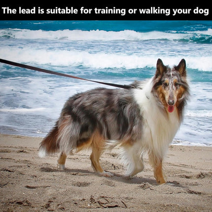 Pet Care Cartoz.