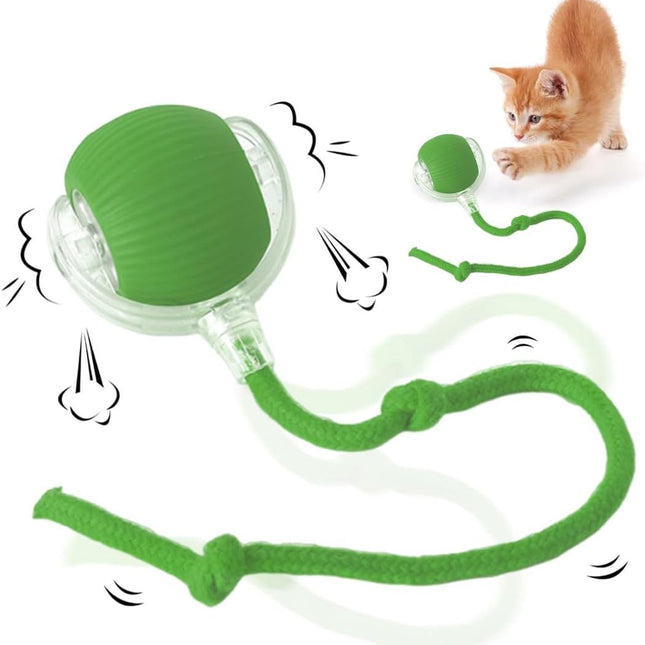 Pet Care.