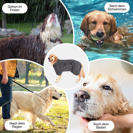 Pet Care.