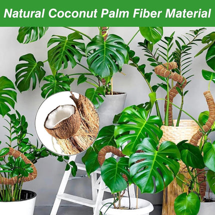 2 pieces - 60cm - Plant supports - Foldable plant support - Climbing plant stake - Monstera Stakes - Plant Stakes - for growing Monstera and other climbing plants - for supporting and guiding plant growth - brown.