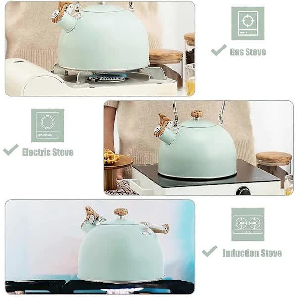 Stainless Steel Whistling Kettle 2.5L for Gas Stoves, Induction Compatible, Ergonomic Handle.