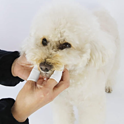 Dog Toothbrush - 10 Pieces - Reusable Finger Toothbrush - Animal Toothbrush - Dog Care - Dogs.