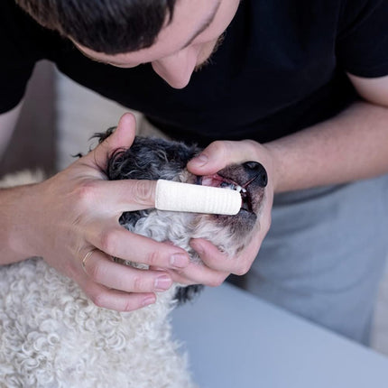 Dog Toothbrush - 10 Pieces - Reusable Finger Toothbrush - Animal Toothbrush - Dog Care - Dogs.