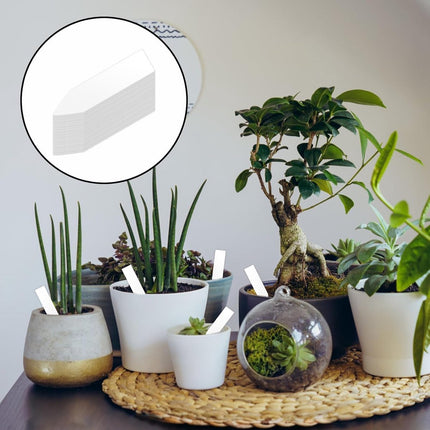 200 Plant Labels - 5x1 CM - Plant Labels - Plant Sticks - Plant Labeling - Herb Labeling - Stick Labels Vegetable Garden Signs - Slotted Labels Plant Label - Plant Signs - Plastic - White - For Garden Potted Herbs Flowers Vegetables.