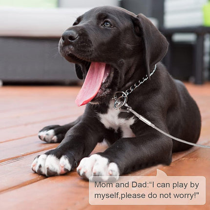 Dog leash cable - 5mm * 3m - stainless steel - silver - dog chains - with double fastening stainless steel buckle - camping accessories - dog game ground stake - heavy-duty dog chain - exhaust leash for animals.