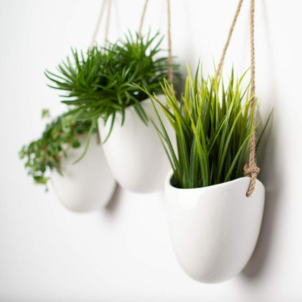 3-Pack White Ceramic Wall Pots.