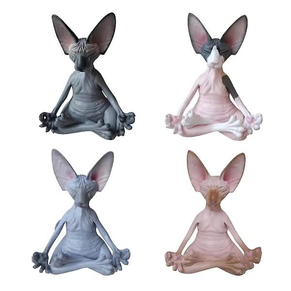 Gift & Novelty > Novelty > Novelty Gifts.