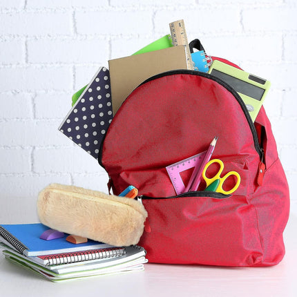 Plush Pencil Case, Fuzzy Pencil Bag Fluffy Makeup Bag Cute Pencil Case For Students Paper Protector For School Office (camel).