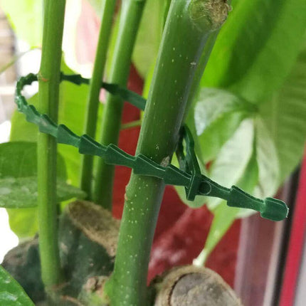 160 pcs Plant Ties Adjustable Garden Ties, Plant Ties and Supports, Helps Support Plants and Shrubs, Flexible Plastic Ties (3 Sizes).