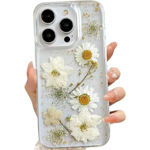 Electronics > Mobile Accessories > Phone Cases & Screen Protectors.