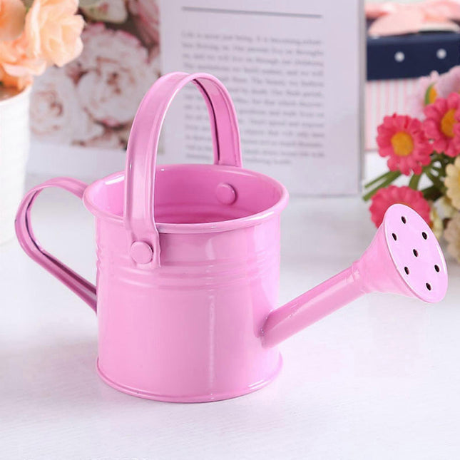 100% New, Mini Iron Watering Can, Spray Bottle, Metal Forging with Handle, Sprinkler Shower Pink.