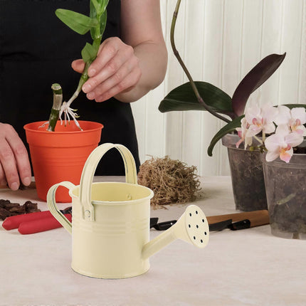 100% New, Mini Iron Watering Can, Spray Bottle, Metal Forging with Handle, Sprinkler Shower Pink.