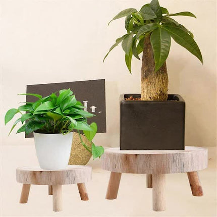 Home & Garden Cartoz.