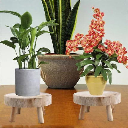 Home & Garden Cartoz.