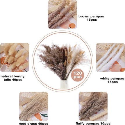 120 Pcs Dried Pampas Grass 17 Inch White Pompas Bouquet Fluffy Dry Pompous Bunny Tails Flower Small Pampass for Room Boho Home Farmhouse Decorations Wedding Pompass Flowers Arrangement Decor.