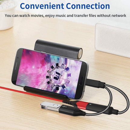 USB C OTG Adapter, 2 in 1 USB C Male to USB Female with 60W PD Charging Port Adapter Compatible with Galaxy S23 S22 Note 20, LG V40 V30, Google Pixel 6 XL,Google Chromecast with Google TV (Black).