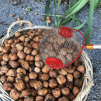 Nut Picker - Side opening for emptying walnuts, rolling picker for pine cones, picker, collector, ball picker for walnuts, pecans S.