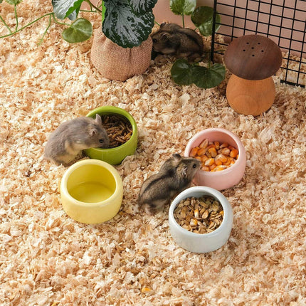 4 Pack Small Hamster Food Bowl Ceramic Guinea Pig Food Dish No Spill Hamster Food and Water Bowl Small Animal Food Bowl for Chinchilla Hedgehog Hamster Gerbil - Pink Blue Yellow and Green.