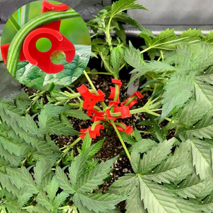 40 Pcs Low Stress Training Clips, 90 Degrees Plant Trainer Bud Plant Bender Plant Training Clips Bud Bender for Plant Gardening - White and Red.