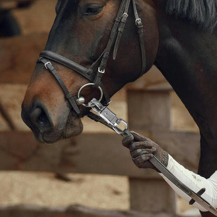 Ackron Panic Snap，Quick Release U-Type Snap Quick Release Clip Suitable for Lead Ropes Tie Offs Rotatable Eye Quick Release Buckle Clips Animals Riding Accessories 2 Piece.