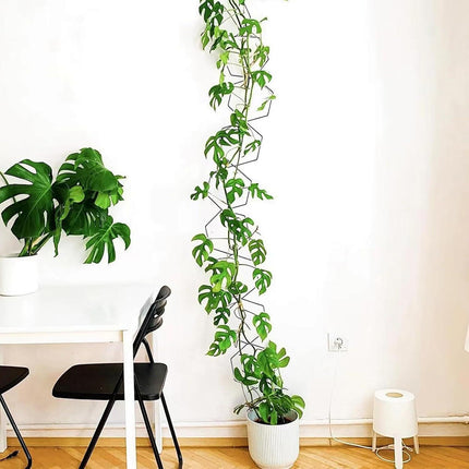 10/18 Pcs Metal Chain Trellis for Climbing Plants with Wall Hooks Wall Hanging Trellis Plant Vine Support for Indoor Outdoor Garden Pothos Ivy (90in).