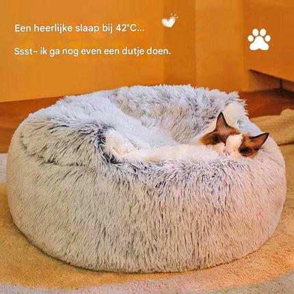 Pet Care.