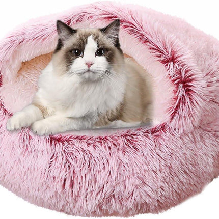 Pet Care Cartoz.