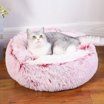 Pet Care Cartoz.
