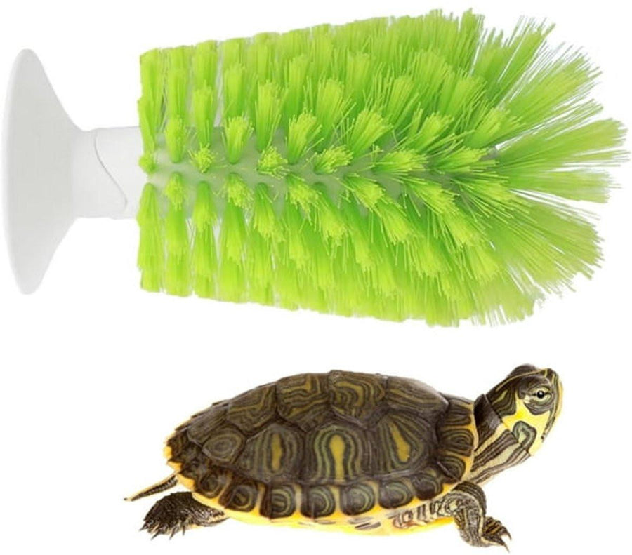 Aquarium Cleaning Supplies