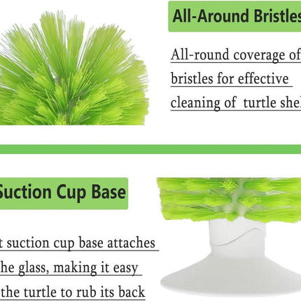 Turtle Shell Brush - Turtle Shell Brush - Turtle Shell Exfoliating Brush - With Suction Cup - Turtle Shell Cleaning Brush.