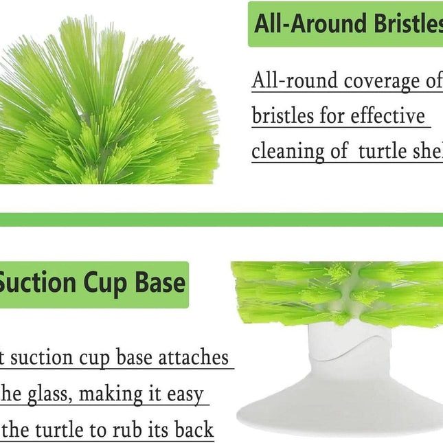 Turtle Shell Brush - Turtle Shell Brush - Turtle Shell Exfoliating Brush - With Suction Cup - Turtle Shell Cleaning Brush.