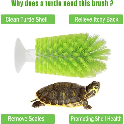 Turtle Shell Brush - Turtle Shell Brush - Turtle Shell Exfoliating Brush - With Suction Cup - Turtle Shell Cleaning Brush.