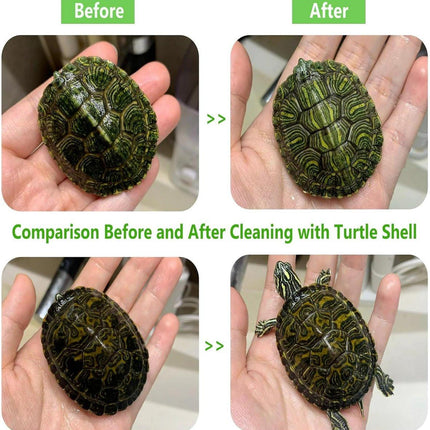Turtle Shell Brush - Turtle Shell Brush - Turtle Shell Exfoliating Brush - With Suction Cup - Turtle Shell Cleaning Brush.