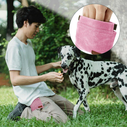 Pet Care Cartoz.